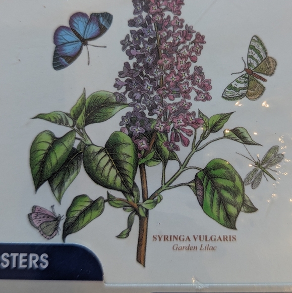 Pimpernel New Portmeirion Botanic Garden Coasters - Picture 4 of 7